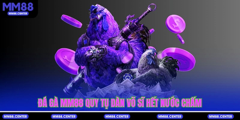 Đá Gà mvp999 quy tụ dàn võ sĩ hết nước chấm