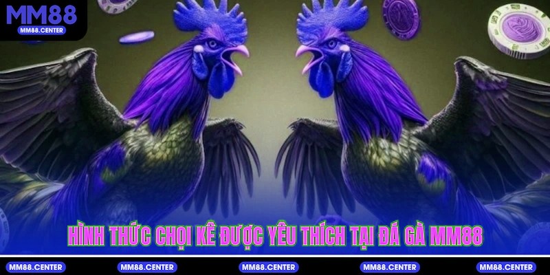 Hình thức chọi kê được yêu thích tại Đá Gà mvp999