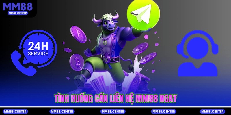 Tình huống cần Liên hệ mvp999 ngay