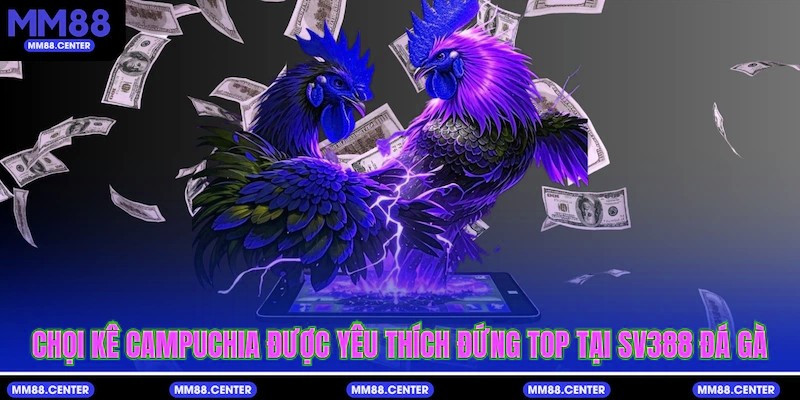Chọi kê Campuchia được yêu thích đứng top tại SV388 Đá Gà