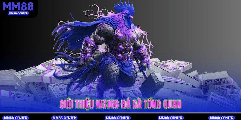 Giới thiệu WS168 Đá Gà tổng quan