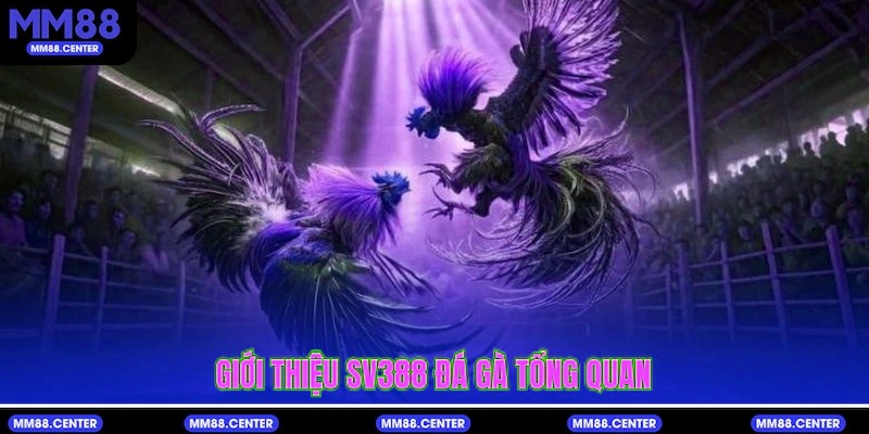 Giới thiệu SV388 Đá Gà tổng quan